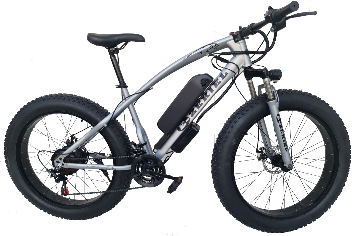 Electrix Avenue - High Quality Electric Bikes & E-Zekiel Specialist